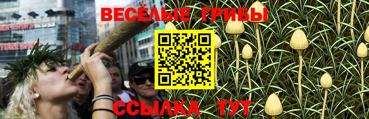Галлюциногенные грибы Psilocybine cubensis  Вход с VPN  Великий Устюг 