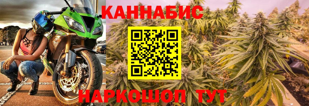Шишки марихуана сатива Великий Устюг